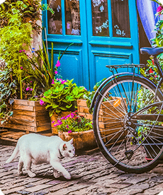 Все о мебели