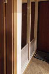 Отзыв Милана, Радион