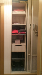 Отзыв Милана, Радион