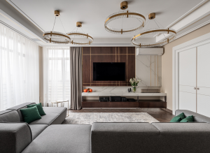 Гостиная с тв-зоной и шкафом для книг Гостиная с тв-зоной и шкафом для книг