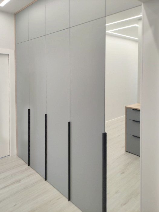 Встроенный шкаф в прихожую Встроенный шкаф в прихожую